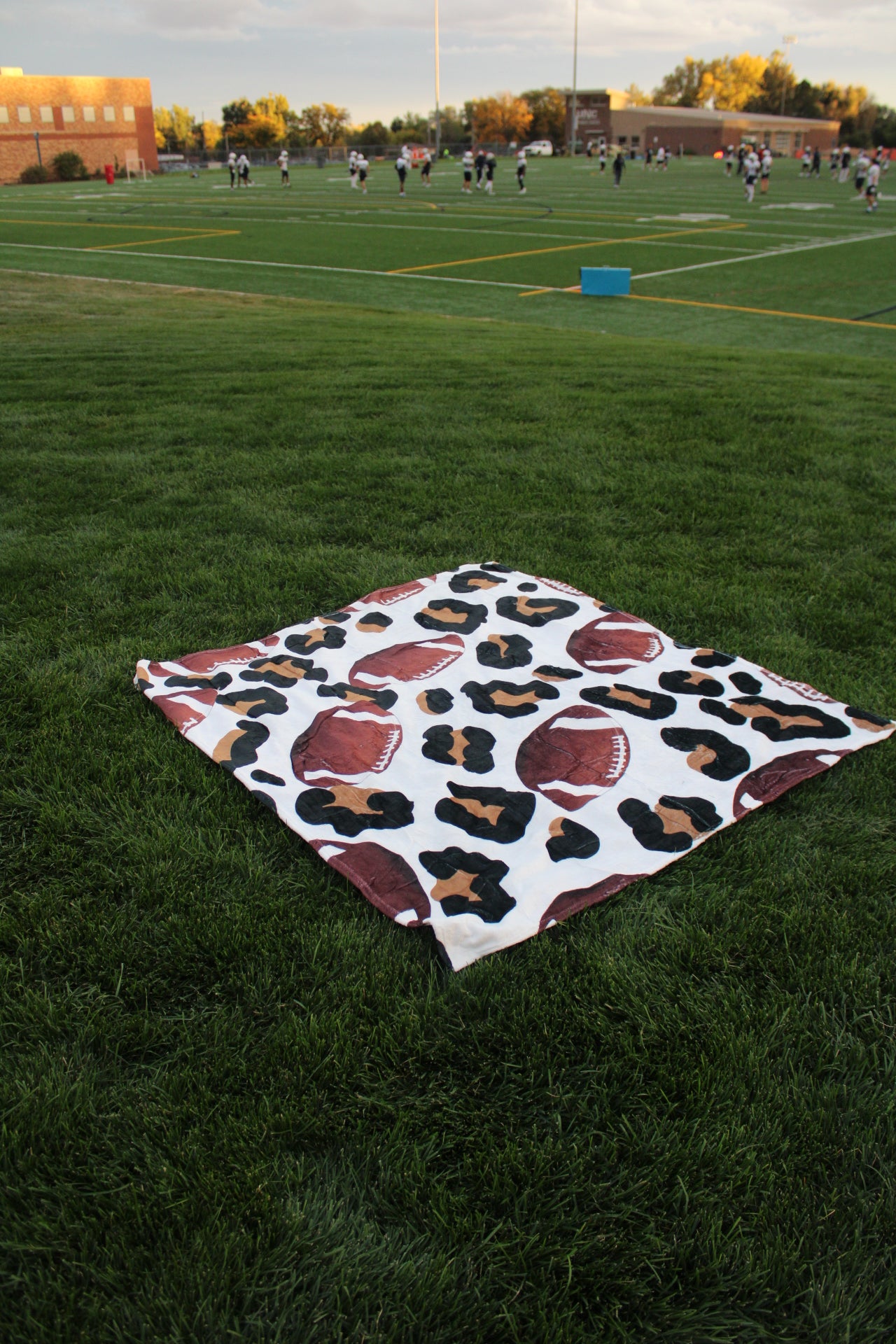 Cheetah Minky Football Blanket